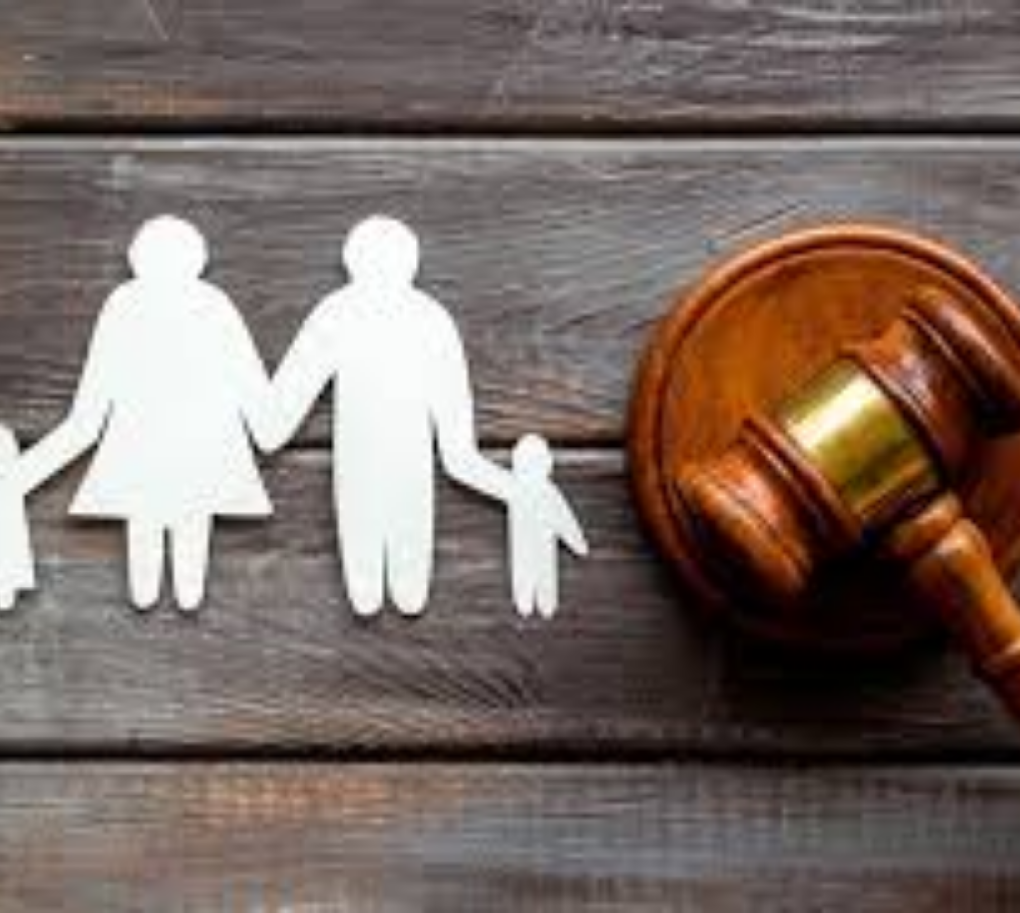 child custody lawyer in delhi