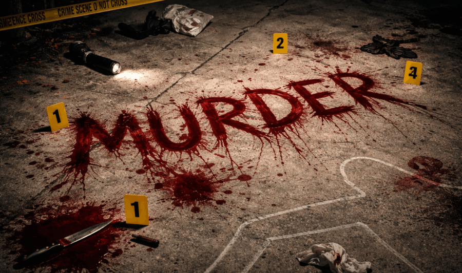 Murder: Legal Meaning, Types, Punishment, and Social Impact in India