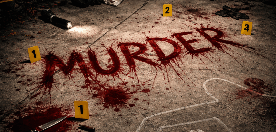 Murder: Legal Meaning, Types, Punishment, and Social Impact in India